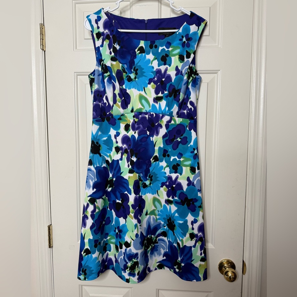Connected Apparel Dress size 10
